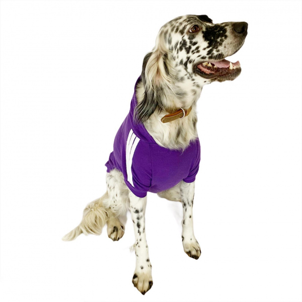 Adidog Purple Hoodie Kapşonlu Sweatshirt Orta ve Büyük Irklar İçin