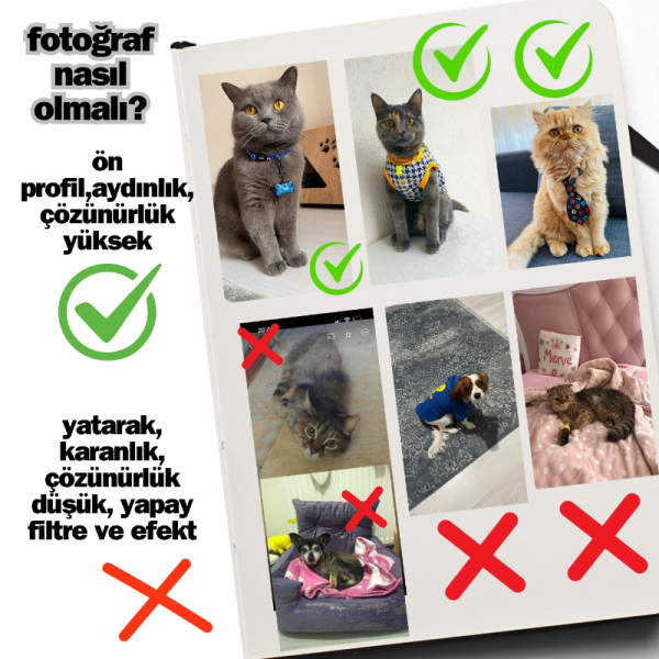 Kedi Köpek Evcil Hayvanınıza Özel Yastık Ve Anahtarlık - Kişiye Özel