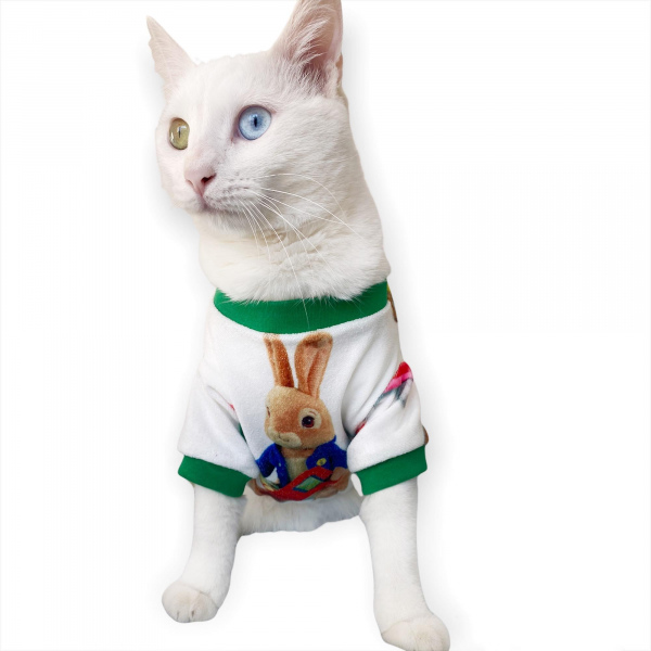 Bunny Club Green Penye Kedi Tulumu Elbisesi