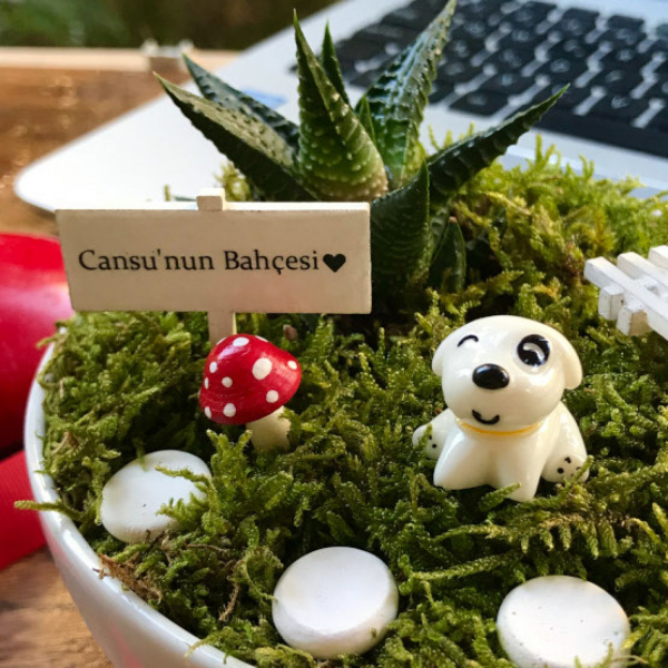 Kişiye Sevimli Köpeğin Sukulent Bahçesi 2 - Luna Koleksiyonu