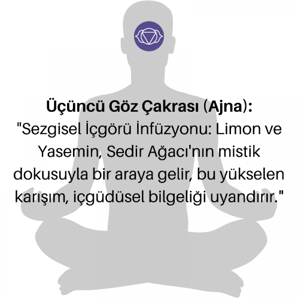 7 Çakra Aromaterapi Esansları - Meditasyon Ve Yoga İçin 10ml,7 Adet