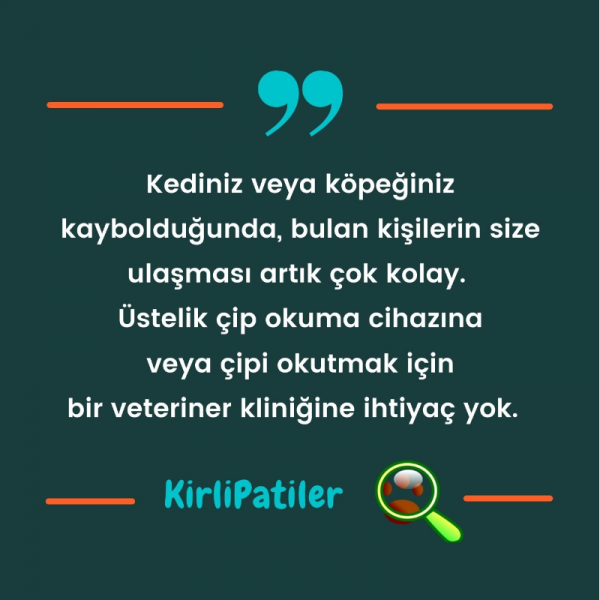 Kedi Köpek Epoksi Madalyon Künye İsimlik Karekodlu