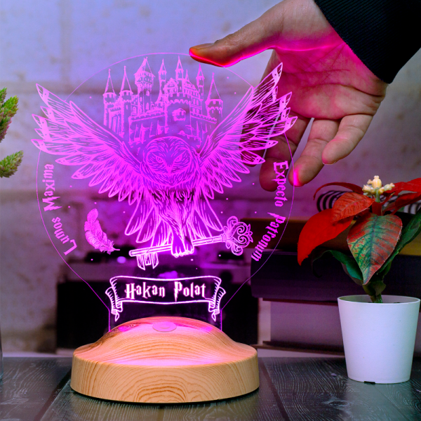 Hogwarts Hedwig Kişiye Özel 3d Led Lamba, Hediye Baykuş Gece Lambası, Harry Potter Hediyelik