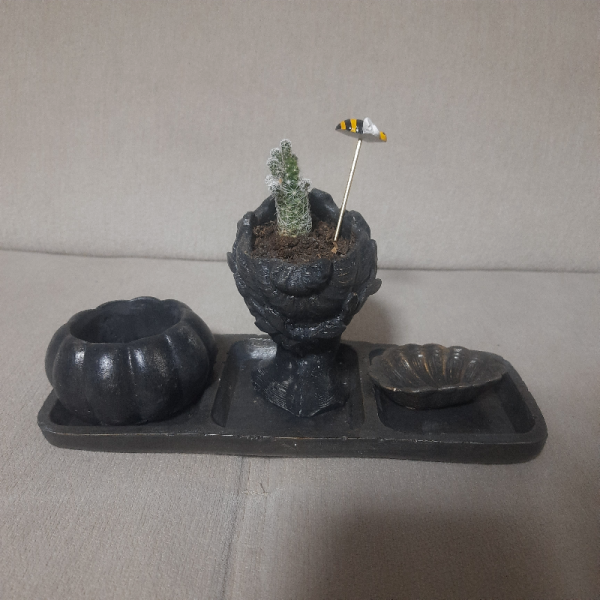 Helen Sukulent Saksı-mumluk-lokumluk Set Ve Tablası