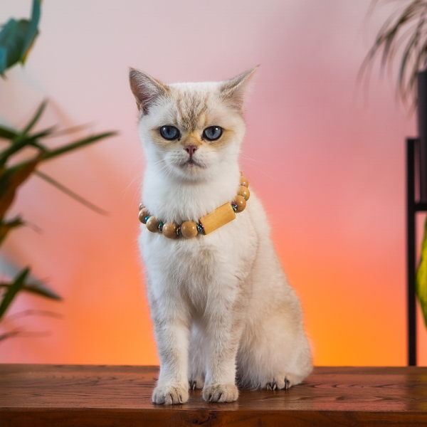 Chaotic Pet Ahşap İsim Yazılabilir Kolye