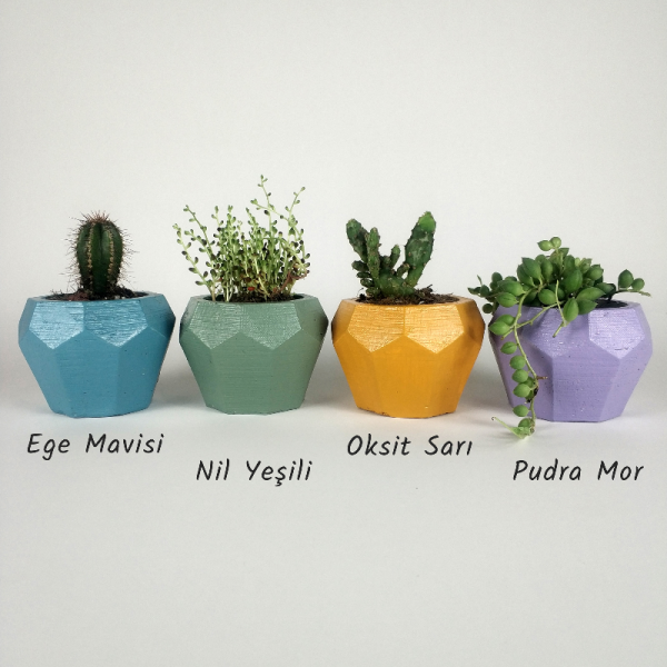 Geometrik Beton Kaktüs/sukulent Saksısı
