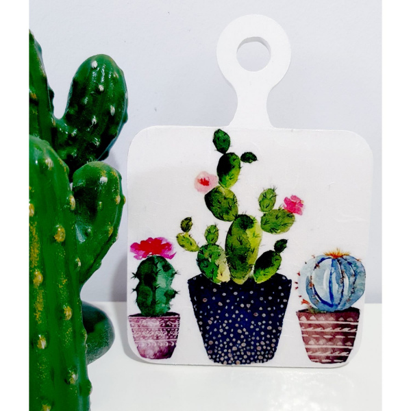 Mini Kaktüs Sunum 12×18cm.