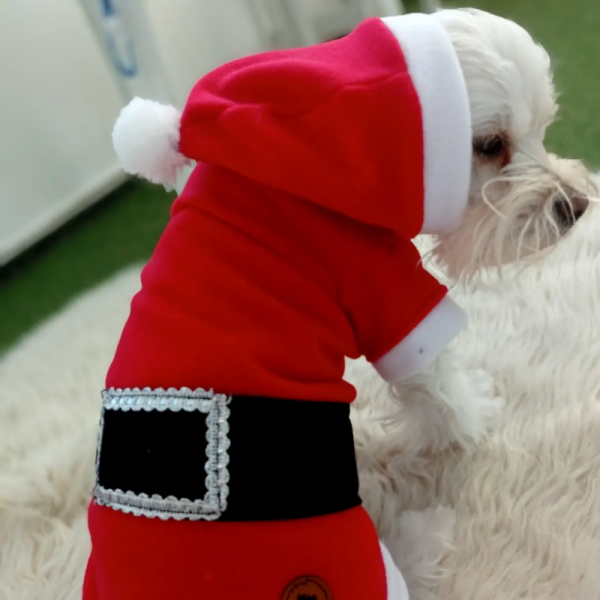 Yılbaşı Kedi & Köpek Kıyafeti