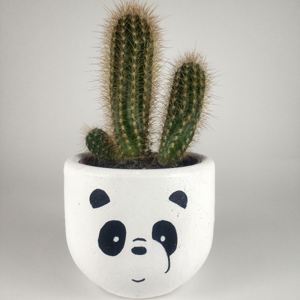 Panda Desenli Beton Kaktüs/sukulent Saksısı