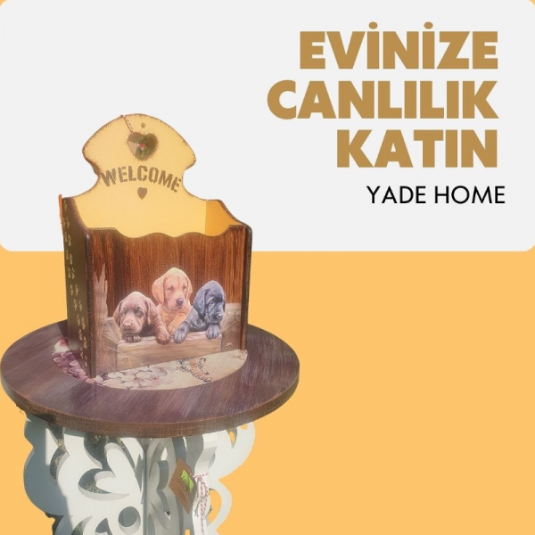 Kapı Önü Gazetelik Köpekli