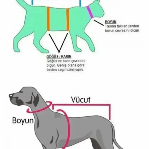 Smokin Kedi & Köpek Göğüs Tasması