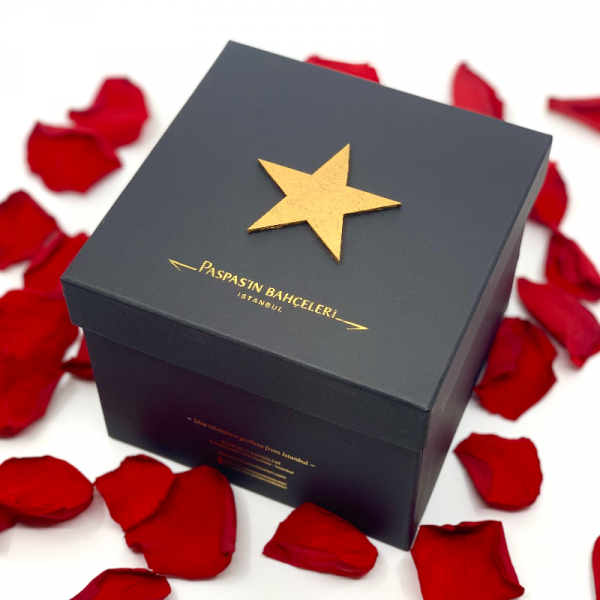 Premium Kutuda Solmayan Kırmızı Gül - Doğum Günü Hediyesi - Stars Koleksiyonu