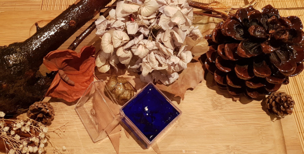 Jel Mum Midye Kabuğu - 01