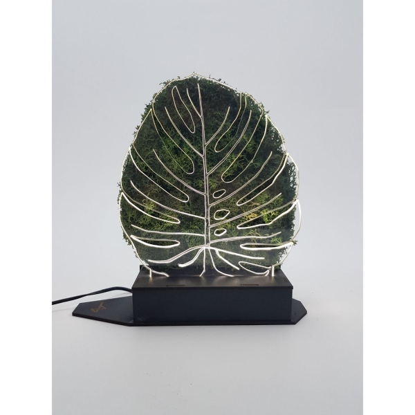 Monstera Moss Lamba
