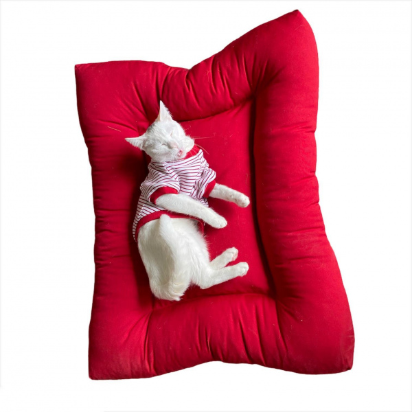 Poofy Red XLarge Kedi Minderi Kedi Yatağı