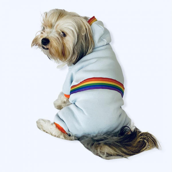 Rainbow Blue Köpek Tulumu Köpek Kıyafeti
