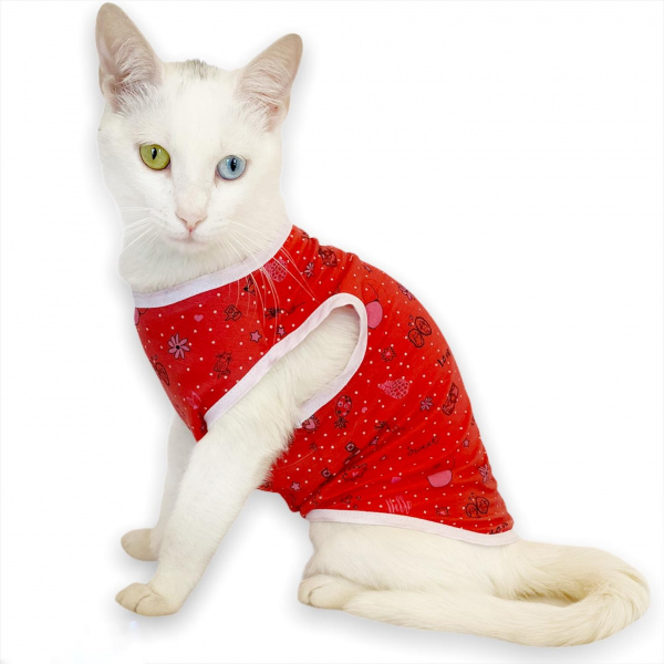 Red World Atlet by Kemique Kedi Kıyafeti Kedi Elbise