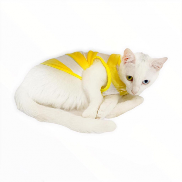 Yellow White Atlet  by Kemique  Kedi Kıyafeti Kedi Elbise